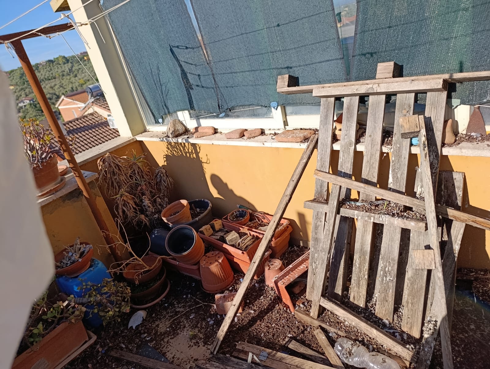 sgombero-terrazzi-sassari-melis.jpg